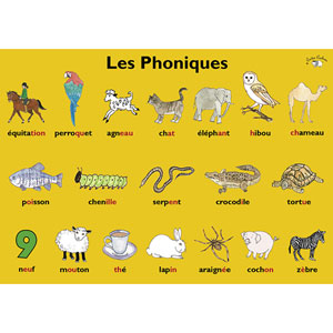 Poster - Les Boissons - Little Linguist