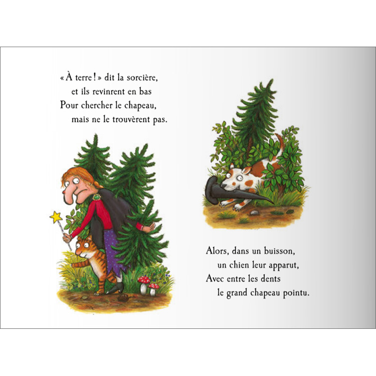 Room on the Broom in French Julia Donaldson 9782070654642 9782075155083 ...