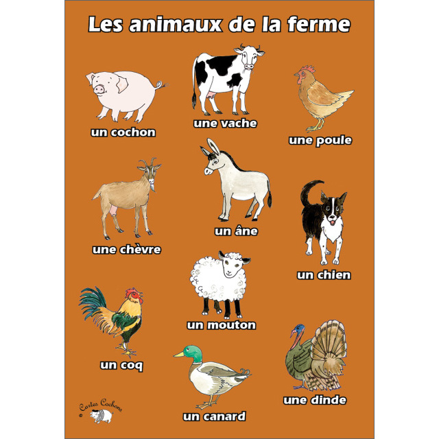 French Vocabulary Poster  Les animaux de la ferme - Little Linguist