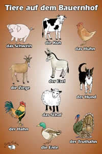 Poster - Tiere auf dem Bauernhof - Little Linguist