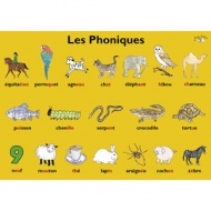 French Word Books Dictionaries Little Linguist - 