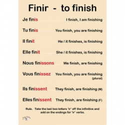 French Verb Poster - Regular -ER Verbs - Little Linguist